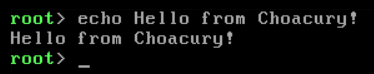 Help command